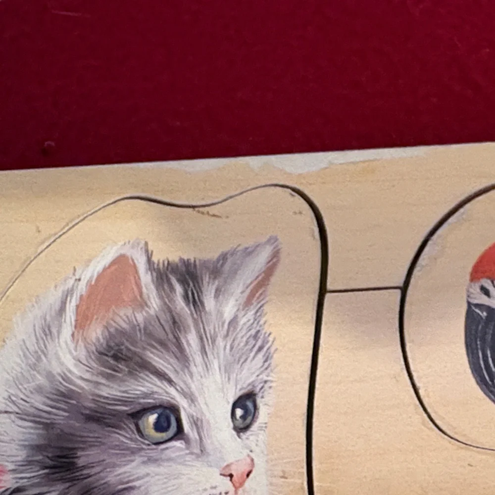 Colorful Wooden Pet Puzzle for Small Animals